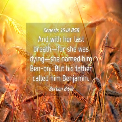 Picture 04 - Genesis 35:18 BSB - And with her last breath—for she was - Bible Verse Picture