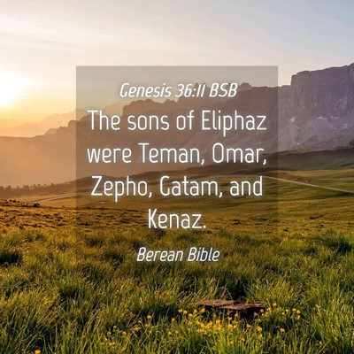 Picture 04 - Genesis 36:11 BSB - The sons of Eliphaz were Teman, Omar, Zepho, - Bible Verse Picture