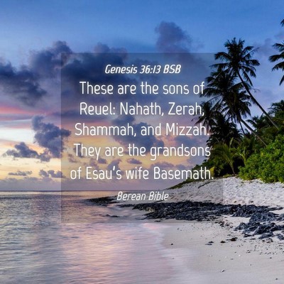 Picture 04 - Genesis 36:13 BSB - These are the sons of Reuel: Nahath, Zerah, - Bible Verse Picture
