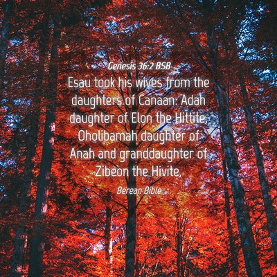 Picture 04 - Genesis 36:2 BSB - Esau took his wives from the daughters of Canaan: - Bible Verse Picture