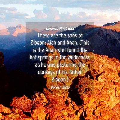 Picture 04 - Genesis 36:24 BSB - These are the sons of Zibeon: Aiah and Anah. - Bible Verse Picture