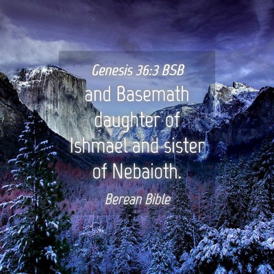 Picture 04 - Genesis 36:3 BSB - and Basemath daughter of Ishmael and sister of - Bible Verse Picture