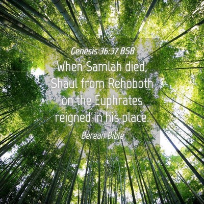 Picture 04 - Genesis 36:37 BSB - When Samlah died, Shaul from Rehoboth on the - Bible Verse Picture