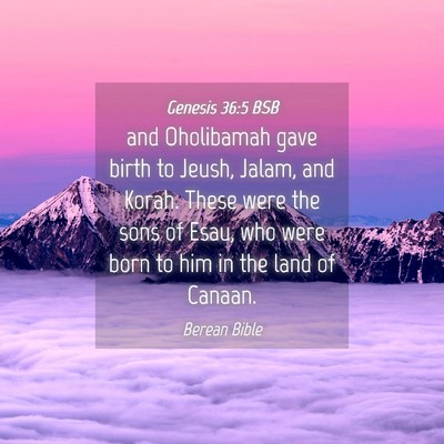 Picture 04 - Genesis 36:5 BSB - and Oholibamah gave birth to Jeush, Jalam, and - Bible Verse Picture