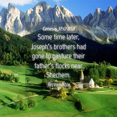 Picture 04 - Genesis 37:12 BSB - Some time later, Joseph’s brothers had gone to - Bible Verse Picture