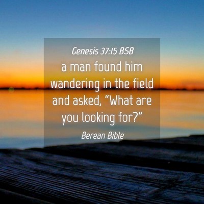 Picture 04 - Genesis 37:15 BSB - a man found him wandering in the field and asked, - Bible Verse Picture