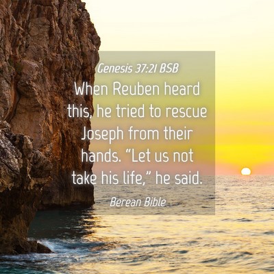 Picture 04 - Genesis 37:21 BSB - When Reuben heard this, he tried to rescue Joseph - Bible Verse Picture