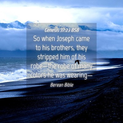 Picture 04 - Genesis 37:23 BSB - So when Joseph came to his brothers, they - Bible Verse Picture