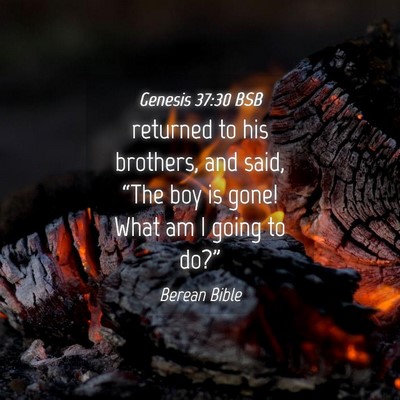 Picture 04 - Genesis 37:30 BSB - returned to his brothers, and said, “The boy is - Bible Verse Picture