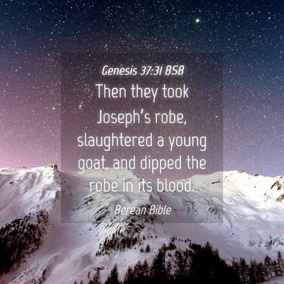 Picture 04 - Genesis 37:31 BSB - Then they took Joseph’s robe, slaughtered a - Bible Verse Picture