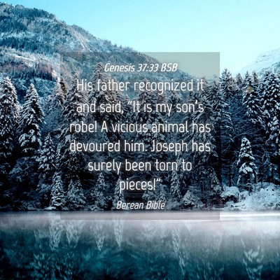 Picture 04 - Genesis 37:33 BSB - His father recognized it and said, “It is my - Bible Verse Picture