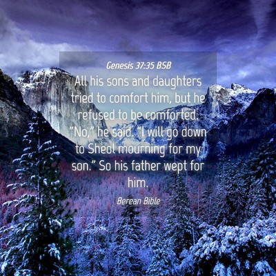 Picture 04 - Genesis 37:35 BSB - All his sons and daughters tried to comfort him, - Bible Verse Picture