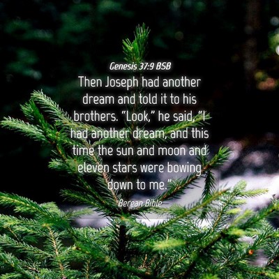 Picture 04 - Genesis 37:9 BSB - Then Joseph had another dream and told it to his - Bible Verse Picture