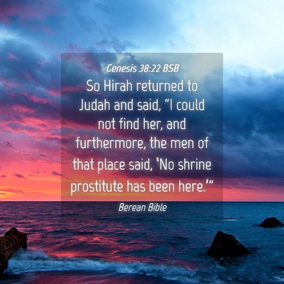 Picture 04 - Genesis 38:22 BSB - So Hirah returned to Judah and said, “I could - Bible Verse Picture