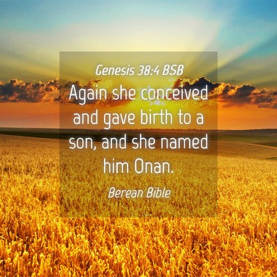 Picture 04 - Genesis 38:4 BSB - Again she conceived and gave birth to a son, and - Bible Verse Picture