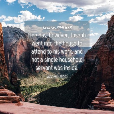 Picture 04 - Genesis 39:11 BSB - One day, however, Joseph went into the house to - Bible Verse Picture