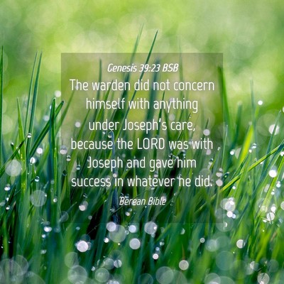 Picture 04 - Genesis 39:23 BSB - The warden did not concern himself with anything - Bible Verse Picture