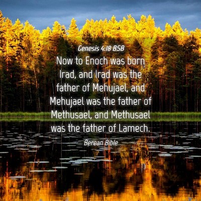 Picture 04 - Genesis 4:18 BSB - Now to Enoch was born Irad, and Irad was the - Bible Verse Picture