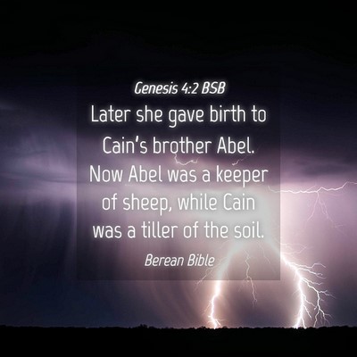Picture 04 - Genesis 4:2 BSB - Later she gave birth to Cain’s brother Abel. - Bible Verse Picture