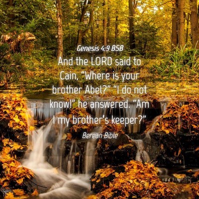 Picture 04 - Genesis 4:9 BSB - And the LORD said to Cain, “Where is your - Bible Verse Picture