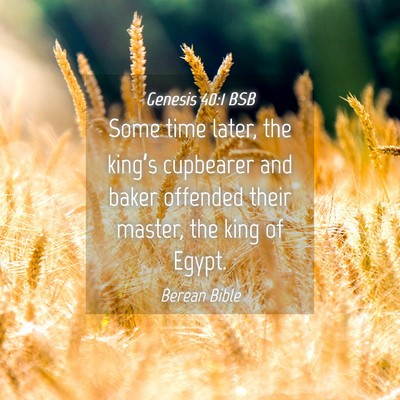 Picture 04 - Genesis 40:1 BSB - Some time later, the king’s cupbearer and baker - Bible Verse Picture