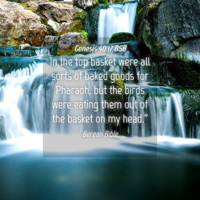 Picture 04 - Genesis 40:17 BSB - In the top basket were all sorts of baked goods - Bible Verse Picture