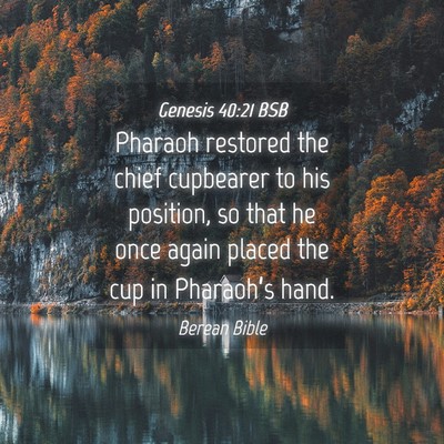 Picture 04 - Genesis 40:21 BSB - Pharaoh restored the chief cupbearer to his - Bible Verse Picture