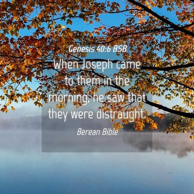 Picture 04 - Genesis 40:6 BSB - When Joseph came to them in the morning, he saw - Bible Verse Picture