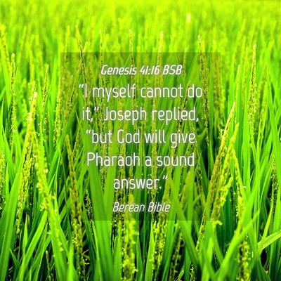 Picture 04 - Genesis 41:16 BSB - “I myself cannot do it,” Joseph replied, - Bible Verse Picture