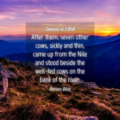 Picture 04 - Genesis 41:3 BSB - After them, seven other cows, sickly and thin, - Bible Verse Picture