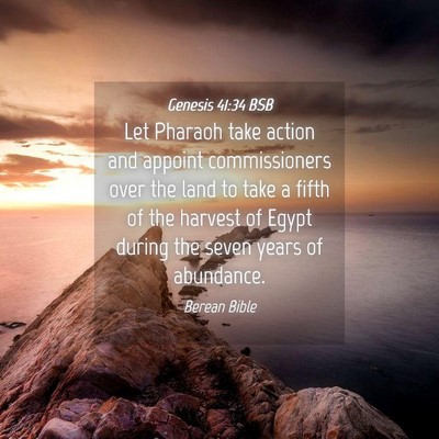 Picture 04 - Genesis 41:34 BSB - Let Pharaoh take action and appoint commissioners - Bible Verse Picture