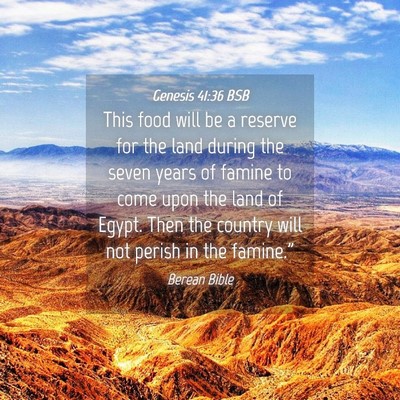 Picture 04 - Genesis 41:36 BSB - This food will be a reserve for the land during - Bible Verse Picture