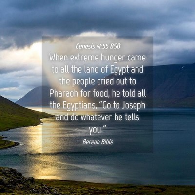Picture 04 - Genesis 41:55 BSB - When extreme hunger came to all the land of Egypt - Bible Verse Picture