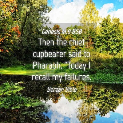 Picture 04 - Genesis 41:9 BSB - Then the chief cupbearer said to Pharaoh, - Bible Verse Picture