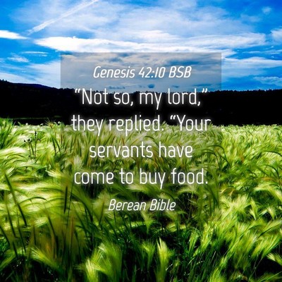 Picture 04 - Genesis 42:10 BSB - “Not so, my lord,” they replied. “Your - Bible Verse Picture
