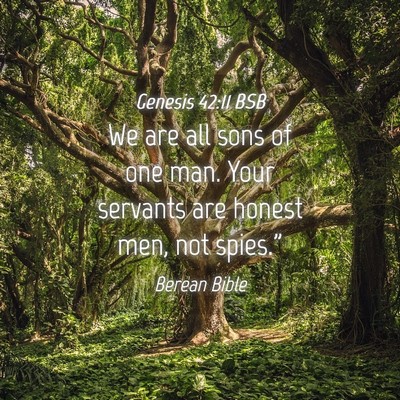 Picture 04 - Genesis 42:11 BSB - We are all sons of one man. Your servants are - Bible Verse Picture