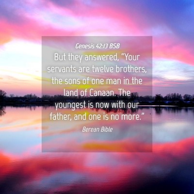 Picture 04 - Genesis 42:13 BSB - But they answered, “Your servants are twelve - Bible Verse Picture