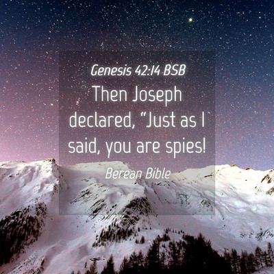 Picture 04 - Genesis 42:14 BSB - Then Joseph declared, “Just as I said, you are - Bible Verse Picture