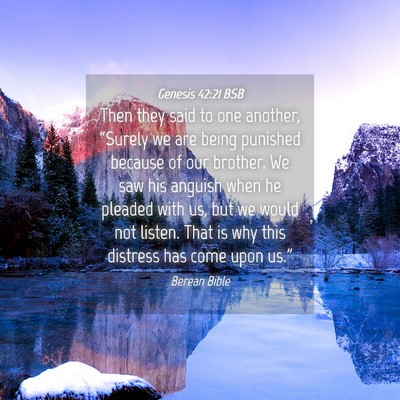 Picture 04 - Genesis 42:21 BSB - Then they said to one another, “Surely we are - Bible Verse Picture