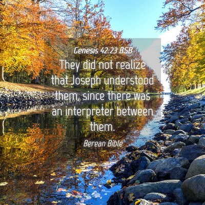 Picture 04 - Genesis 42:23 BSB - They did not realize that Joseph understood them, - Bible Verse Picture