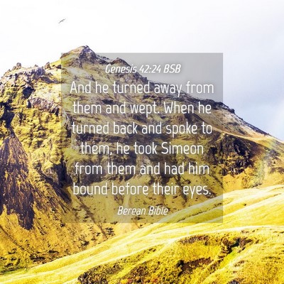 Picture 04 - Genesis 42:24 BSB - And he turned away from them and wept. When he - Bible Verse Picture