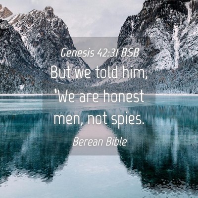 Picture 04 - Genesis 42:31 BSB - But we told him, ‘We are honest men, not - Bible Verse Picture