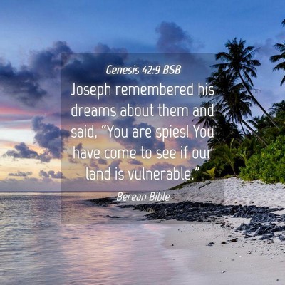 Picture 04 - Genesis 42:9 BSB - Joseph remembered his dreams about them and said, - Bible Verse Picture