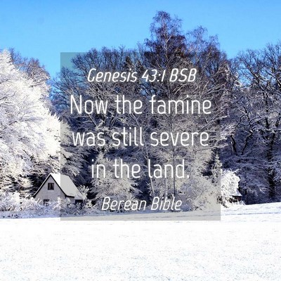 Picture 04 - Genesis 43:1 BSB - Now the famine was still severe in the - Bible Verse Picture