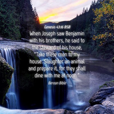 Picture 04 - Genesis 43:16 BSB - When Joseph saw Benjamin with his brothers, he - Bible Verse Picture