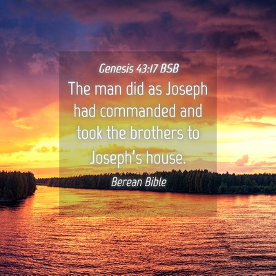 Picture 04 - Genesis 43:17 BSB - The man did as Joseph had commanded and took the - Bible Verse Picture