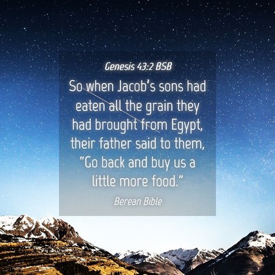 Picture 04 - Genesis 43:2 BSB - So when Jacob’s sons had eaten all the grain - Bible Verse Picture