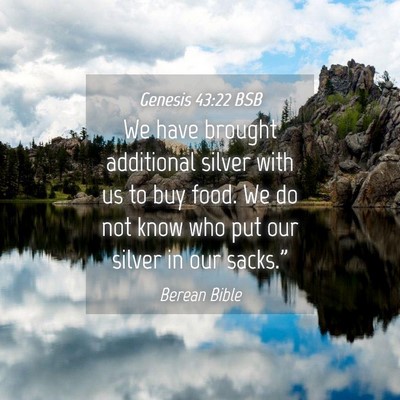 Picture 04 - Genesis 43:22 BSB - We have brought additional silver with us to buy - Bible Verse Picture