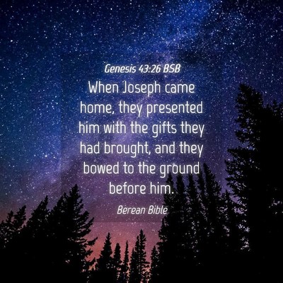 Picture 04 - Genesis 43:26 BSB - When Joseph came home, they presented him with - Bible Verse Picture