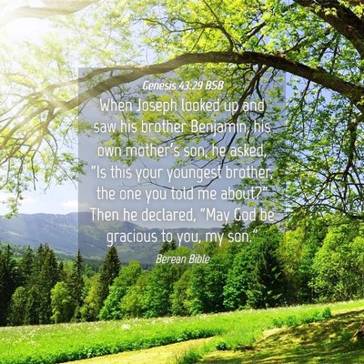 Picture 04 - Genesis 43:29 BSB - When Joseph looked up and saw his brother - Bible Verse Picture